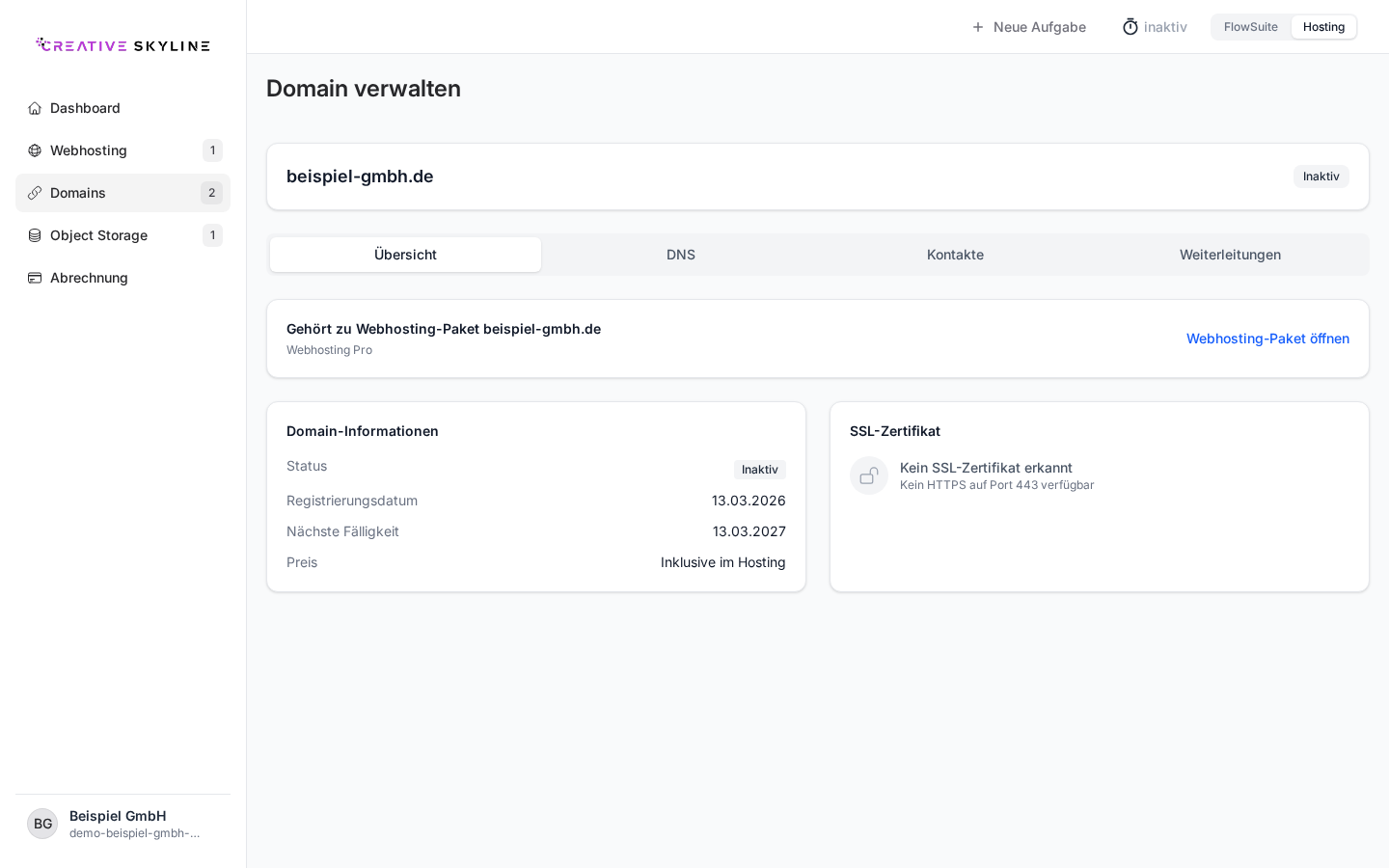 Domain-Detailseite mit Uebersicht, DNS-Reiter und SSL-Status